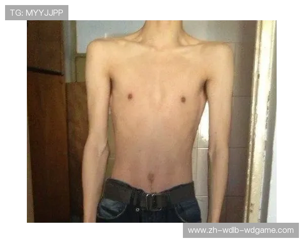 适合男生的健身器材推荐与使用方法